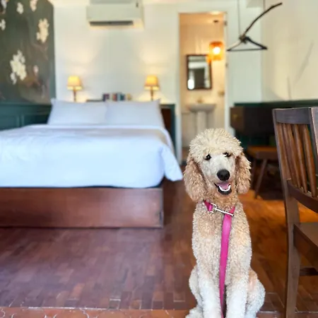 Miranamin Nest Calachuchi Room - Balcony, Garden View, Pet Friendly